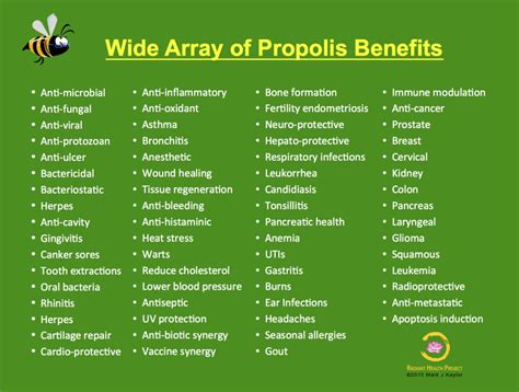 propolis beneficios - beneficios do propolis